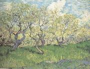 Vincent Van Gogh Orchard in Blossom (nn04) china oil painting artist